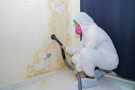 Best Water Damage & Mold Remediation  in Loma Ri, CA